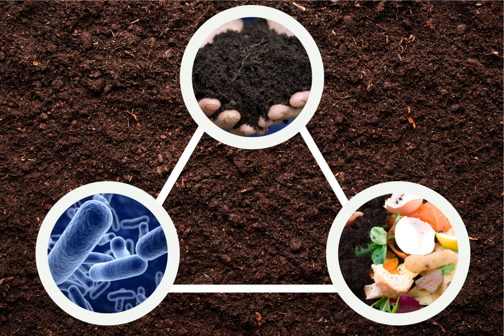 Soil needs microbes, dead plant and animal matter, and carbon to become healthy. Compost is organic matter. Roots add to organic matter.