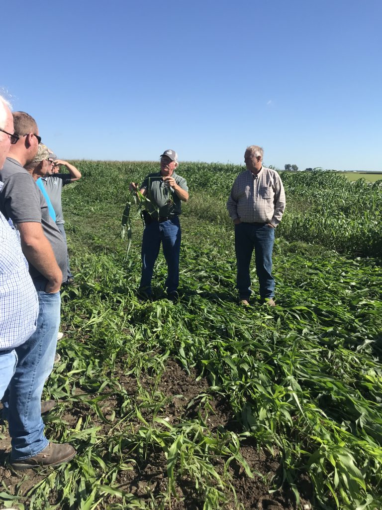 Mike Werling (Allen County SWCD) at Roemke Farms annual Soil Health Field Day in Harlan, Indiana, explaining how a roller crimper terminates a cover crop before planting a new crop. Sorghum Sudan Grass featured.