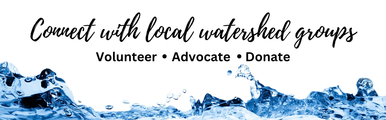 Connect with local watershed groups (1)